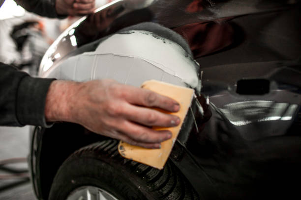 Best Forensic Mold Investigation  in Shelby, MI