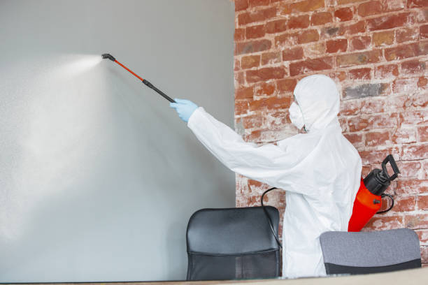 Best Post-Remediation Verification Testing  in Shelby, MI