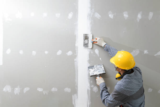 Best Comprehensive Air Testing for Mold Contaminants  in Shelby, MI