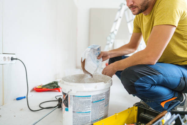 Best Mold Removal for HVAC Installations  in Shelby, MI