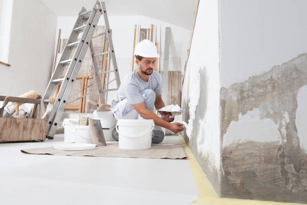 Reliable Shelby, MI Mold Removal Solutions