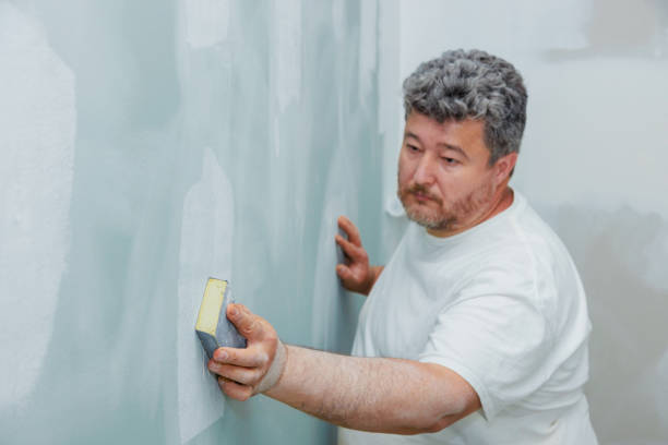 Best Water Damage & Mold Remediation  in Shelby, MI