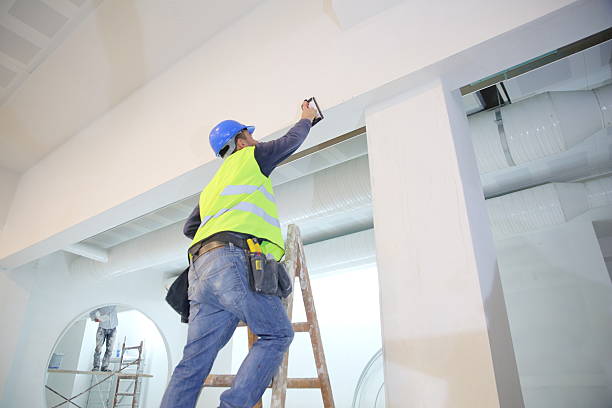 Biohazard Mold Removal in Shelby, MI