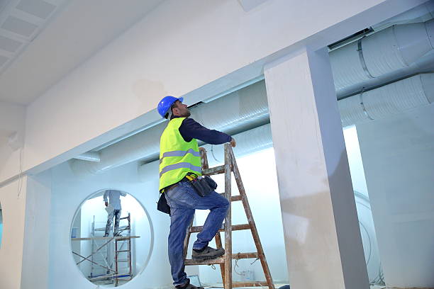 Best Residential Mold Inspection & Testing  in Shelby, MI