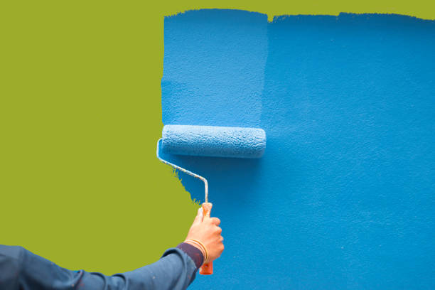 Best Post-Construction Mold Inspection  in Shelby, MI